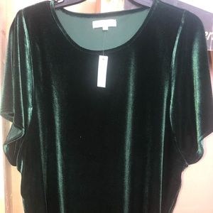 Madewell Dark Green NWT Velour Top